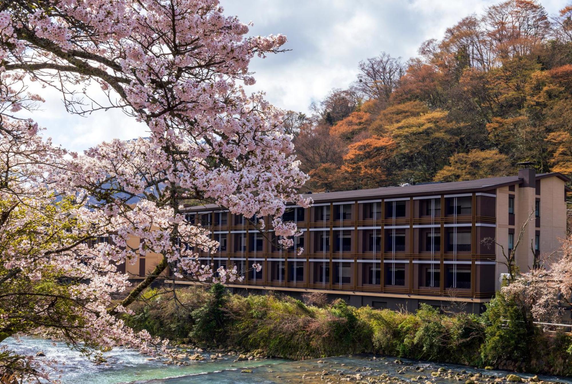 Hotel Indigo Hakone Gora, an IHG Hotel Bagian luar foto
