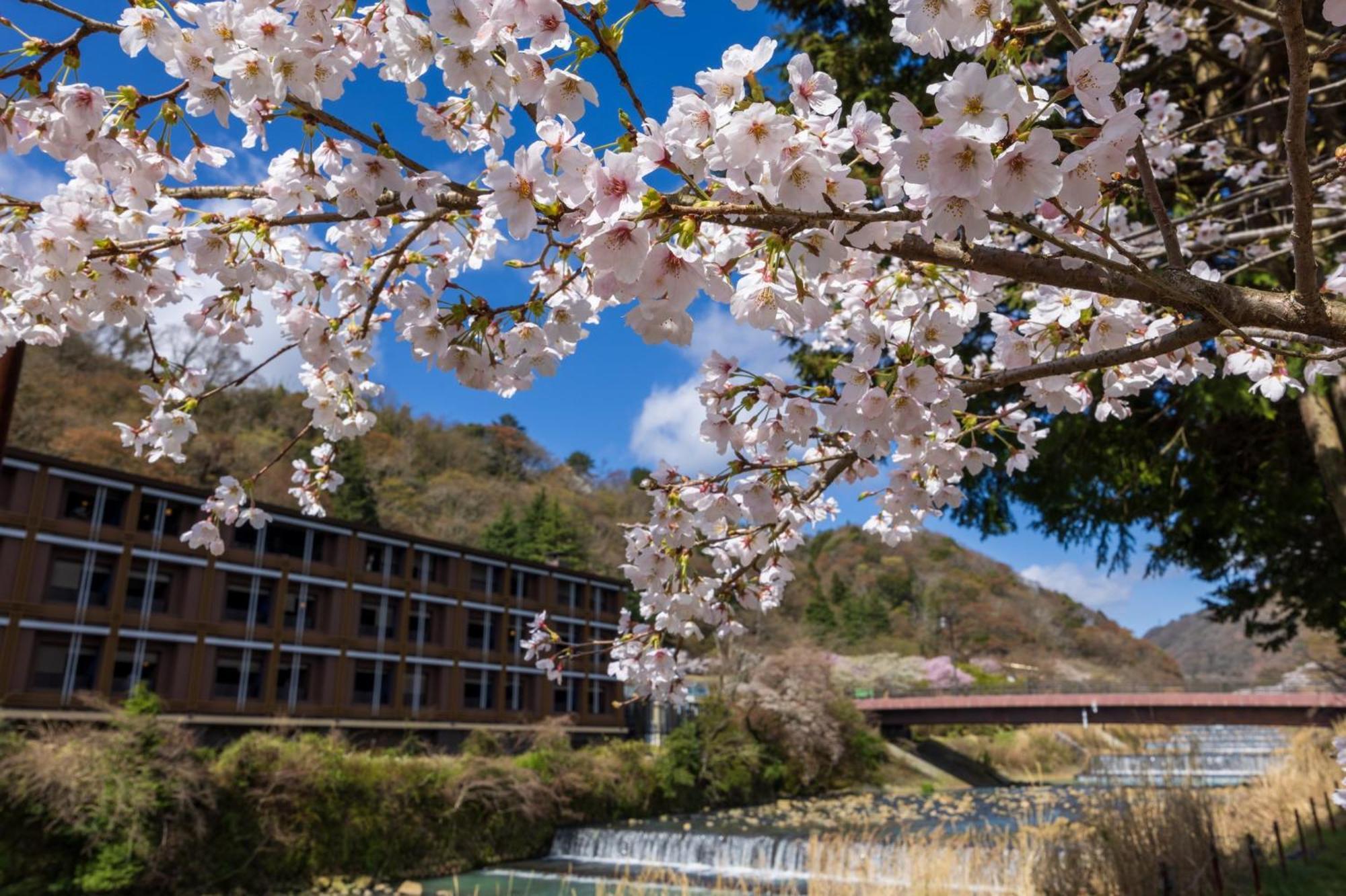 Hotel Indigo Hakone Gora, an IHG Hotel Bagian luar foto